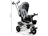 Turning tricycle 360° Grey Delux with canopy ECOTOYS