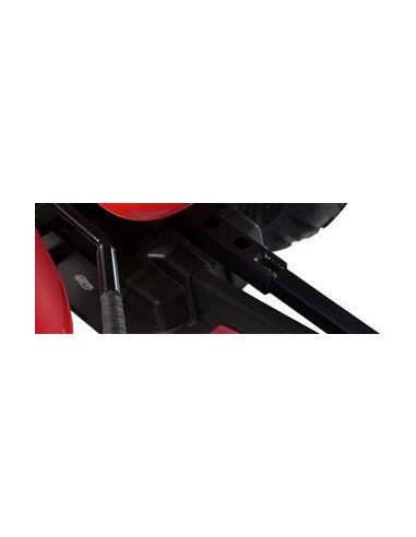 Go-kart BERG Case IH BFR