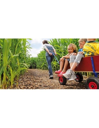 BERG Beach Wagon XL