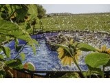 EXIT Wood pool ø427x122cm with filter pump - brown