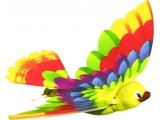 CALY Timmy Bird