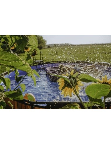 EXIT Stone pool ø427x122cm with filter pump and ladder - grey