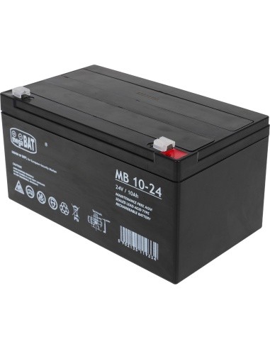 Akumuliatorius elektromobiliui vaikams 24V 10Ah
