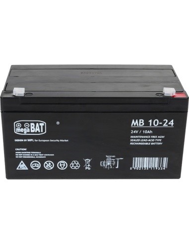 Akumuliatorius elektromobiliui vaikams 24V 10Ah