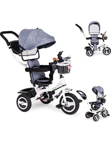 Tricycle Eco Toys