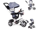 Tricycle Eco Toys