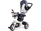 Tricycle Eco Toys