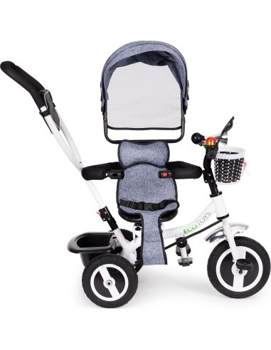 Tricycle Eco Toys