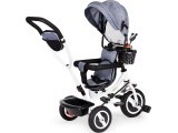 Tricycle Eco Toys