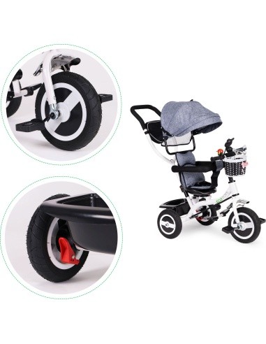Tricycle Eco Toys