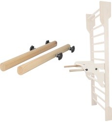 Parallel Bars for Wall Bars