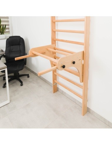 Parallel Bars for Wall Bars