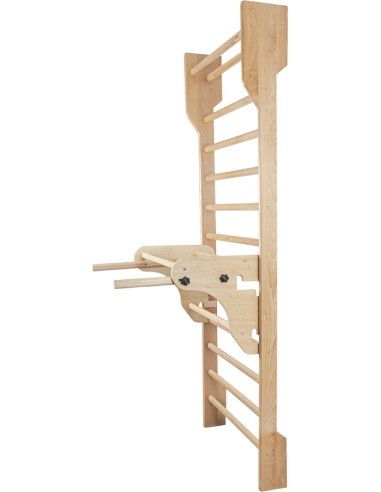 Parallel Bars for Wall Bars