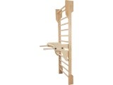 Parallel Bars for Wall Bars
