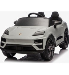 Vehicle Porsche Macan Gray