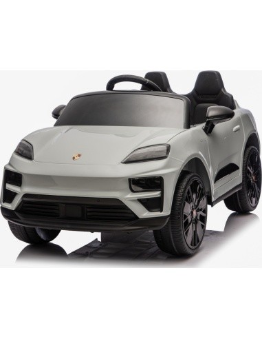 Vehicle Porsche Macan Gray