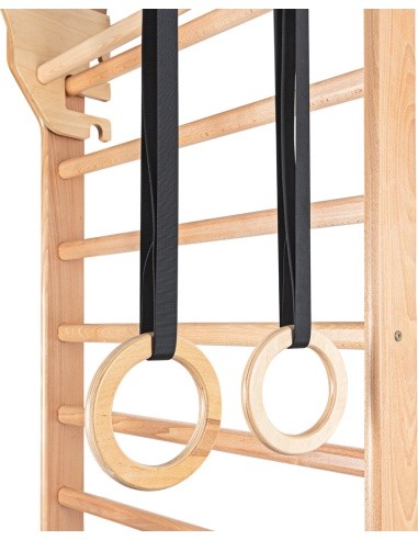 Gymnastic Rings for Wall Bars