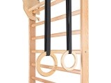 Gymnastic Rings for Wall Bars