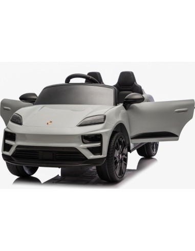 Vehicle Porsche Macan Gray