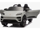 Vehicle Porsche Macan Gray
