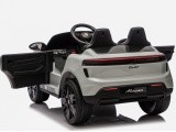 Vehicle Porsche Macan Gray