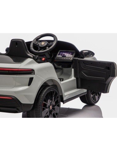 Vehicle Porsche Macan Gray