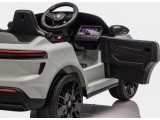 Vehicle Porsche Macan Gray