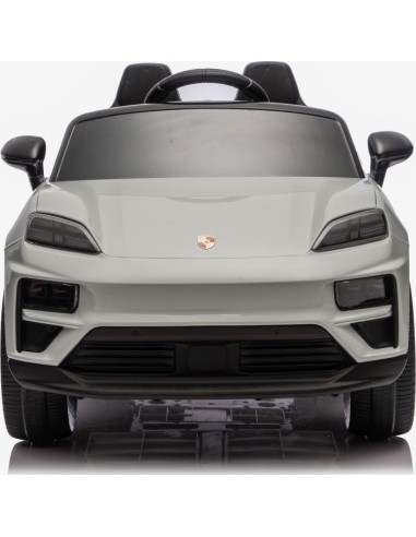 Vehicle Porsche Macan Gray