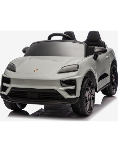 Vehicle Porsche Macan Gray