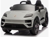 Vehicle Porsche Macan Gray