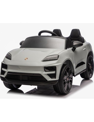 Vehicle Porsche Macan Gray