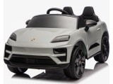 Vehicle Porsche Macan Gray