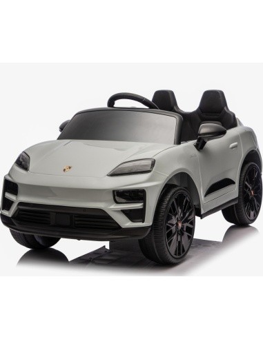 Vehicle Porsche Macan Gray