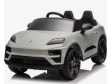 Vehicle Porsche Macan Gray