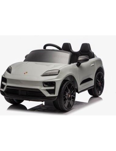 Vehicle Porsche Macan Gray