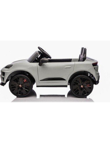 Vehicle Porsche Macan Gray