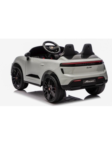 Vehicle Porsche Macan Gray