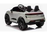 Vehicle Porsche Macan Gray