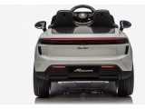 Vehicle Porsche Macan Gray