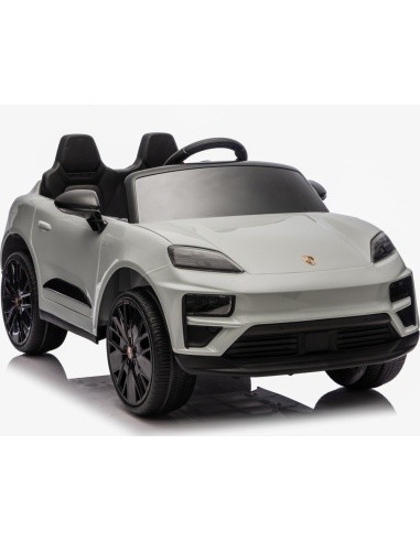 Vehicle Porsche Macan Gray