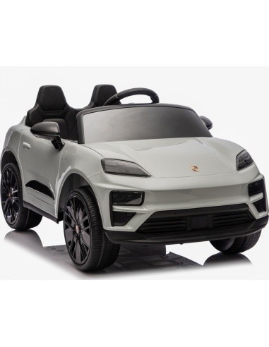 Vehicle Porsche Macan Gray