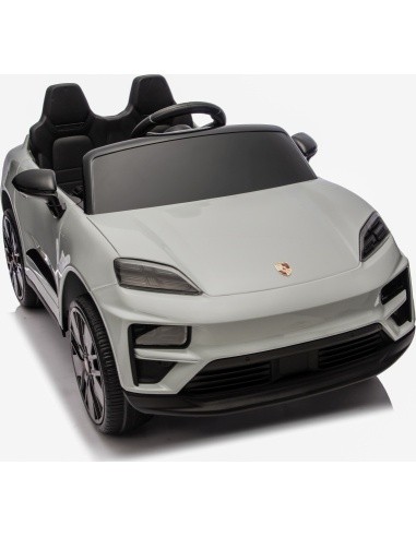 Vehicle Porsche Macan Gray