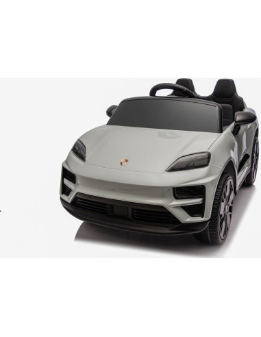 Vehicle Porsche Macan Gray