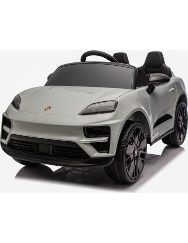 Vehicle Porsche Macan Gray
