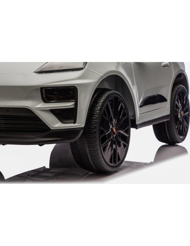 Vehicle Porsche Macan Gray