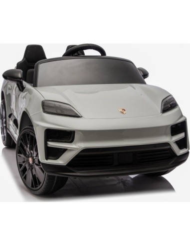 Vehicle Porsche Macan Gray