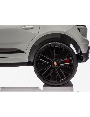 Vehicle Porsche Macan Gray