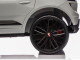 Vehicle Porsche Macan Gray