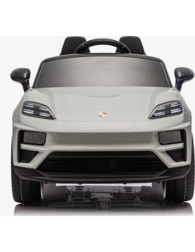 Vehicle Porsche Macan Gray