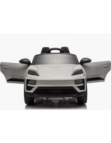 Vehicle Porsche Macan Gray